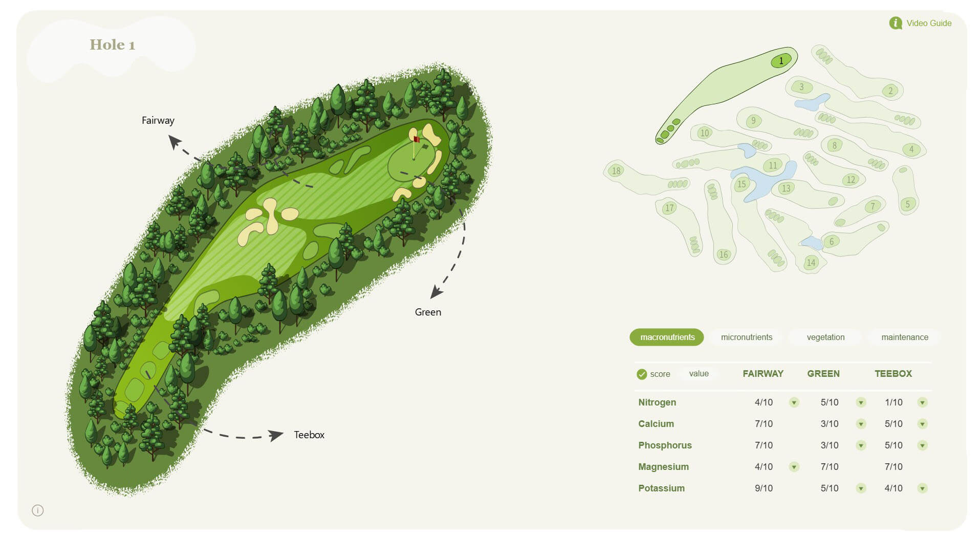 Synoptic Panel Examples OKVIZ
